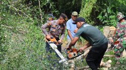 Pohon Rentan Roboh hingga Potensi Timpa Pengguna Jalan di Trenggalek Dipangkas, Sudah ‘Telan’ 4 Korban