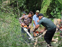 Pemangkasan Pohon Rentan Tumbang di Trenggalek untuk Cegah Korban Jiwa