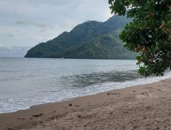 Gelombang Tinggi hingga 4 Meter Ancam Perairan Trenggalek, Wisatawan Diminta Waspada