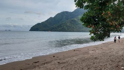 Gelombang Tinggi hingga 4 Meter Ancam Perairan Trenggalek, Wisatawan Diminta Waspada