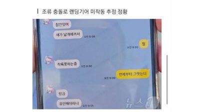 Korban Pesawat Jeju Air Kirimkan Pesan Sebelum Kecelakaan Tragis Terjadi: Ada Burung di Sayapnya….