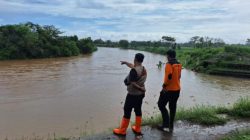 Hujan Tak Kunjung Reda, Sungai Brantas di Tulungagung Meluap