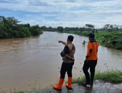 Hujan Tak Kunjung Reda, Sungai Brantas di Tulungagung Meluap