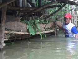 Banjir Tiga Hari di Jombang, Warga Khawatirkan Keselamatan Ternak