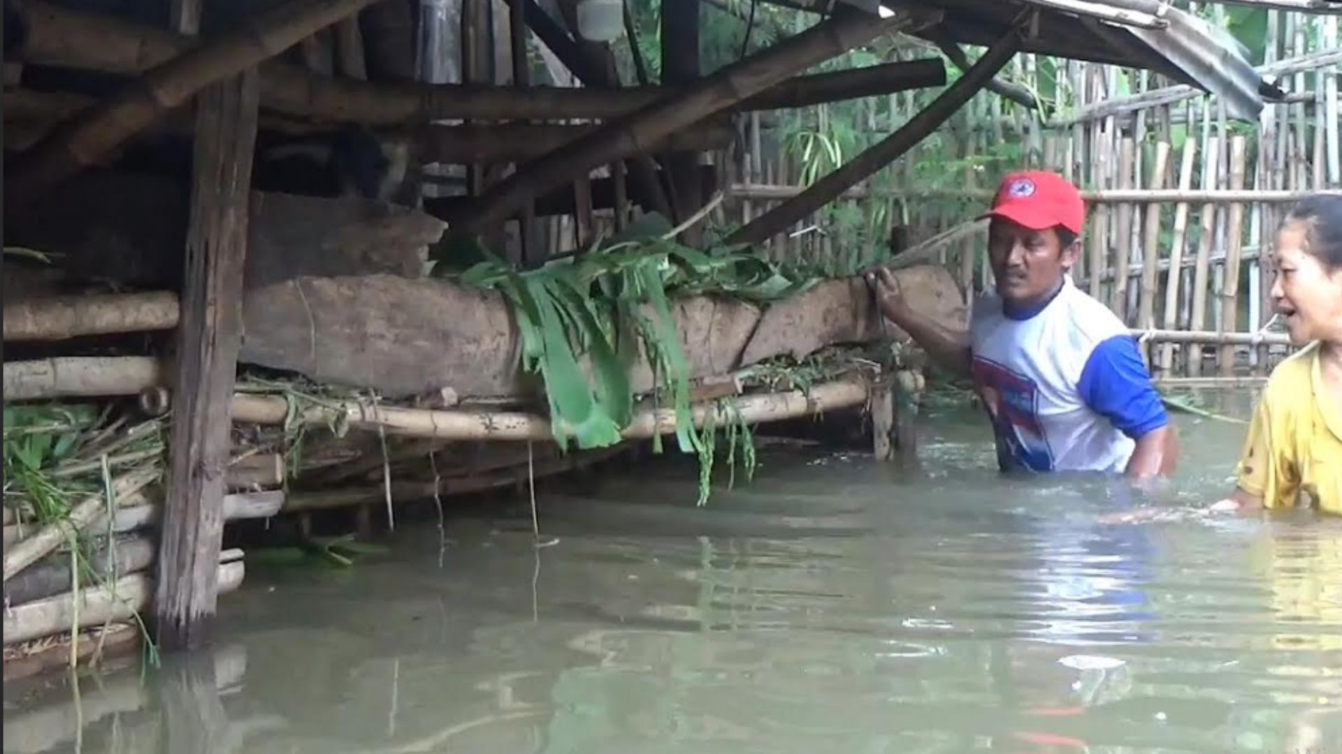 Banjir Tiga Hari di Jombang, Warga Khawatirkan Keselamatan Ternak