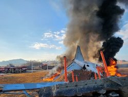 Kronologi Kecelakaan Tragis Pesawat Jeju Air di Muan yang Tewaskan 179 Orang Tewas, Didugta Akibat Tabrakan dengan Burung