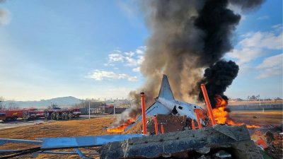 Kronologi Kecelakaan Tragis Pesawat Jeju Air di Muan yang Tewaskan 179 Orang Tewas, Didugta Akibat Tabrakan dengan Burung
