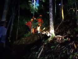Hilang Saat Mencari Kayu Bakar, Kakek di Ponorogo Ditemukan Tewas di Lereng Gunung