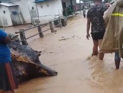 Hujan Deras Tiga Jam Sebabkan Banjir di Banyakan, Grogol, dan Tarokan  BPBD Kediri Dirikan Posko Darurat di Tiron