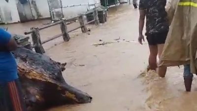 Hujan Deras Tiga Jam Sebabkan Banjir di Banyakan, Grogol, dan Tarokan BPBD Kediri Dirikan Posko Darurat di Tiron