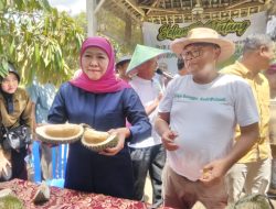 Kunjungi Blitar, Gubernur Jawa Timur Terpilih Khofifah Cicipi Blackthorn, Durian Sultan di Kebun Srengat