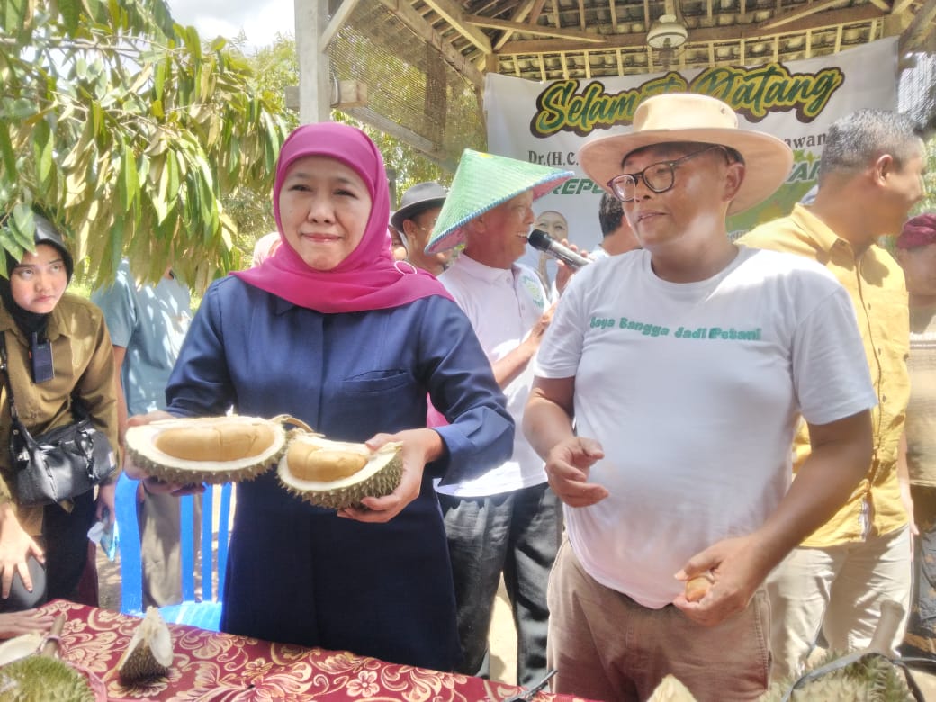 Kunjungi Blitar, Gubernur Jawa Timur Terpilih Khofifah Cicipi Blackthorn, Durian Sultan di Kebun Srengat