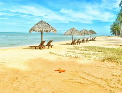 7 Contoh Karangan Liburan Sekolah untuk Tugas, Kalian Pergi Kemana?