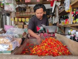Harga Cabai Semakin Pedas, Sentuh Harga Rp 90 Ribu per Kg