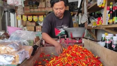 Harga Cabai Semakin Pedas, Ogah Turun, Nangkring di Harga Rp 90 Ribu per Kg