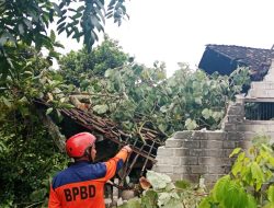 Hujan dan Angin Kencang Terjang Delapan Desa di Blitar, Bangunan Rusak, Dua Warga Terluka