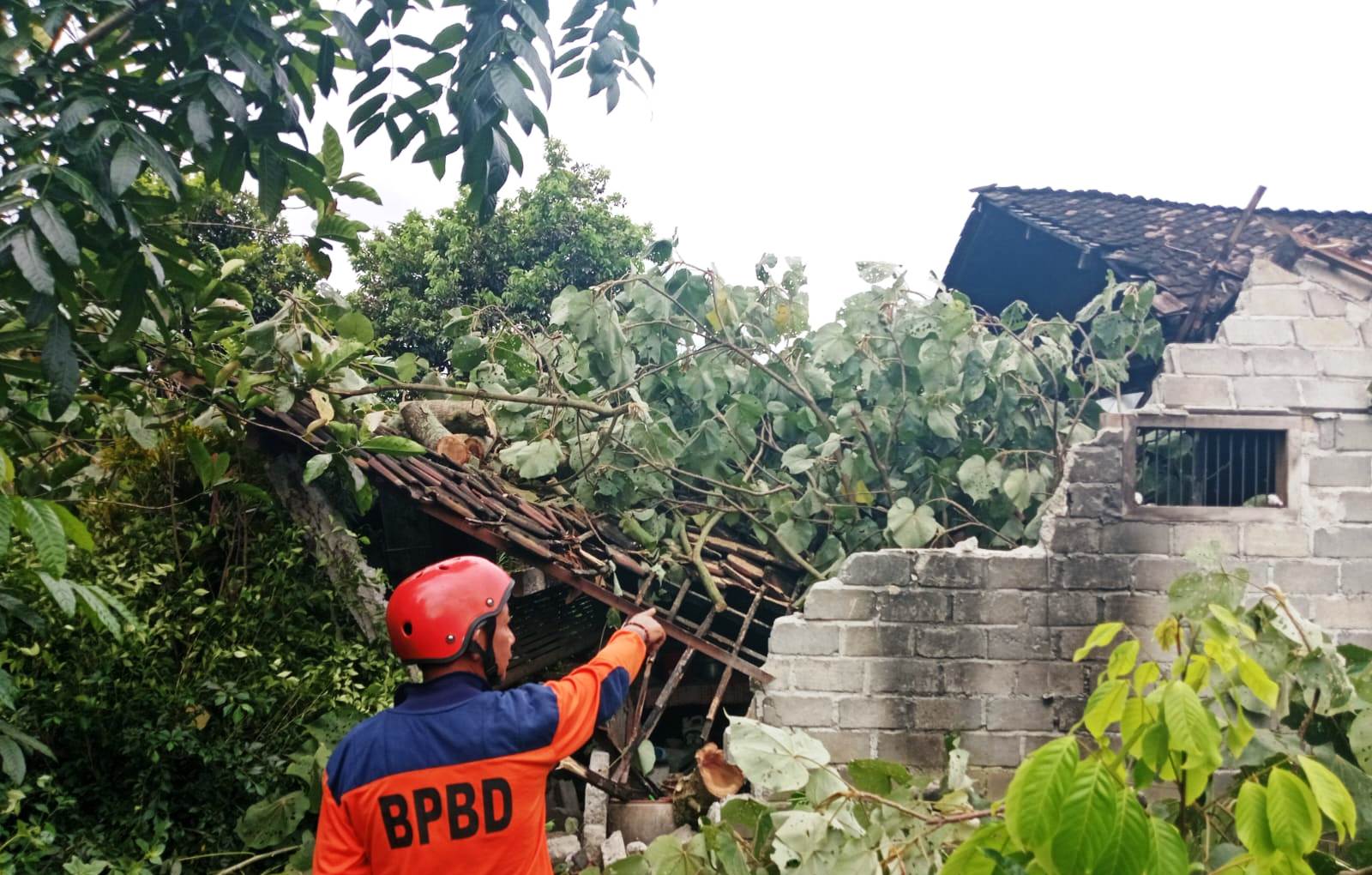 Hujan dan Angin Kencang Terjang Delapan Desa di Blitar, Bangunan Rusak, Dua Warga Terluka