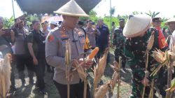 Panen Jagung, Wujud Ketahanan Pangan dan Sinergi Polisi dan Petani