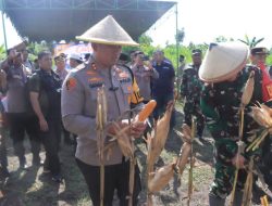 Panen Jagung, Wujud Ketahanan Pangan dan Sinergi Polisi dan Petani