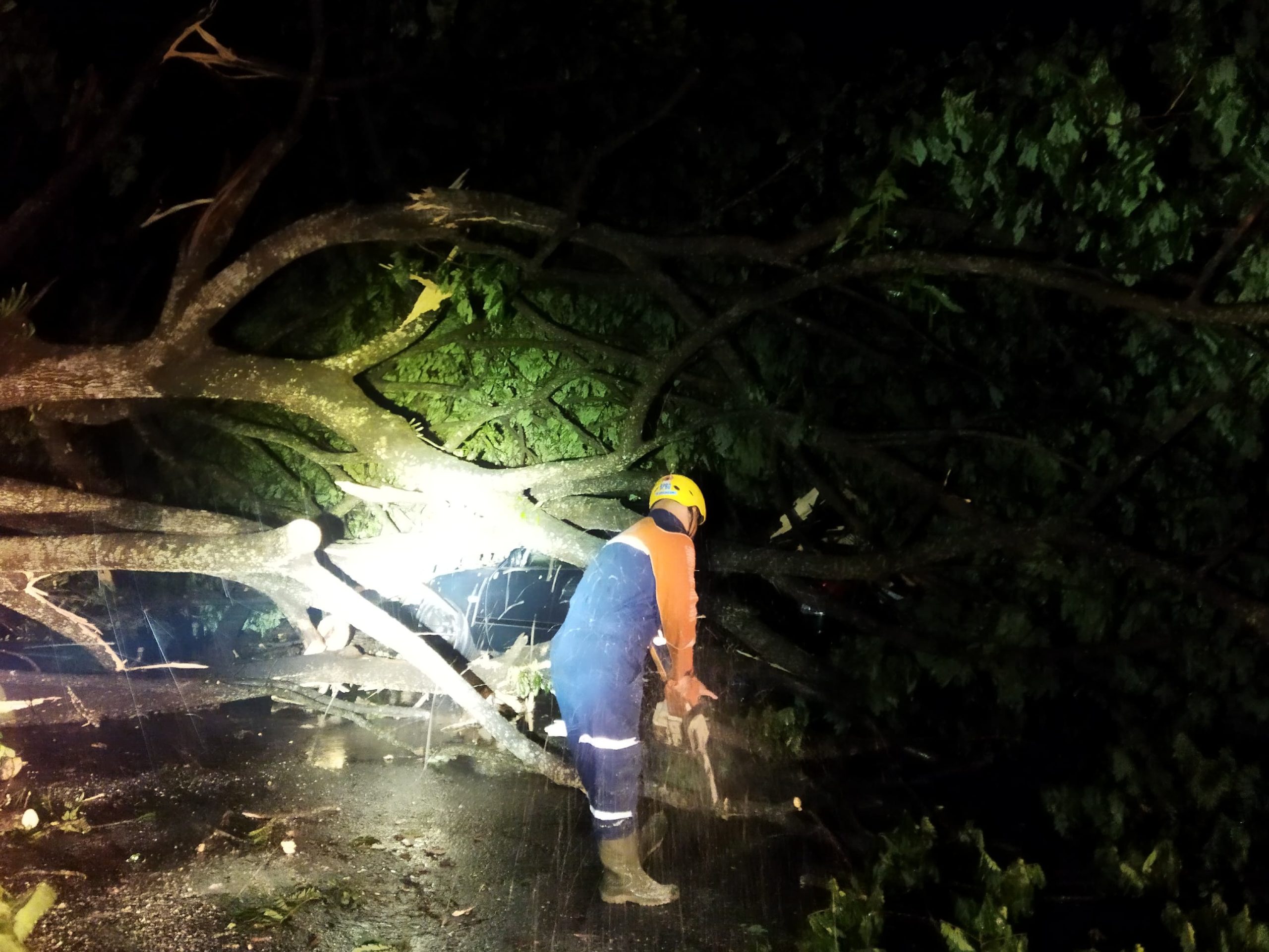 Angin Kencang di Karangrejo, Pohon Tumbang Rusak Mobil dan Tutup Jalan