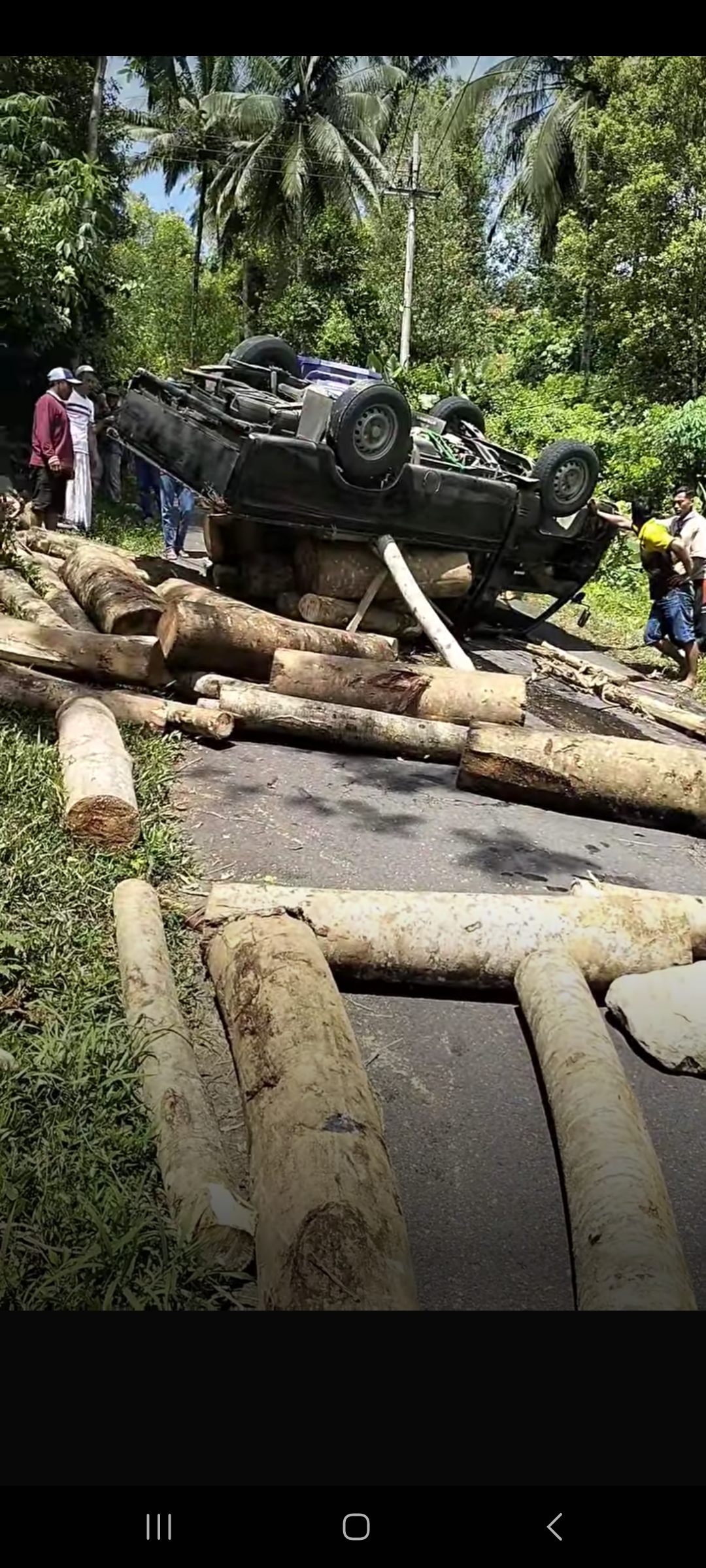 Pickup Bermuatan Kayu Sengon Laut Terguling di Trenggalek, Sopir Selamat