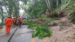 Longsor Terjang Beberapa Wilayah di Trenggalek, BPBD Ingatkan Warga untuk Waspada