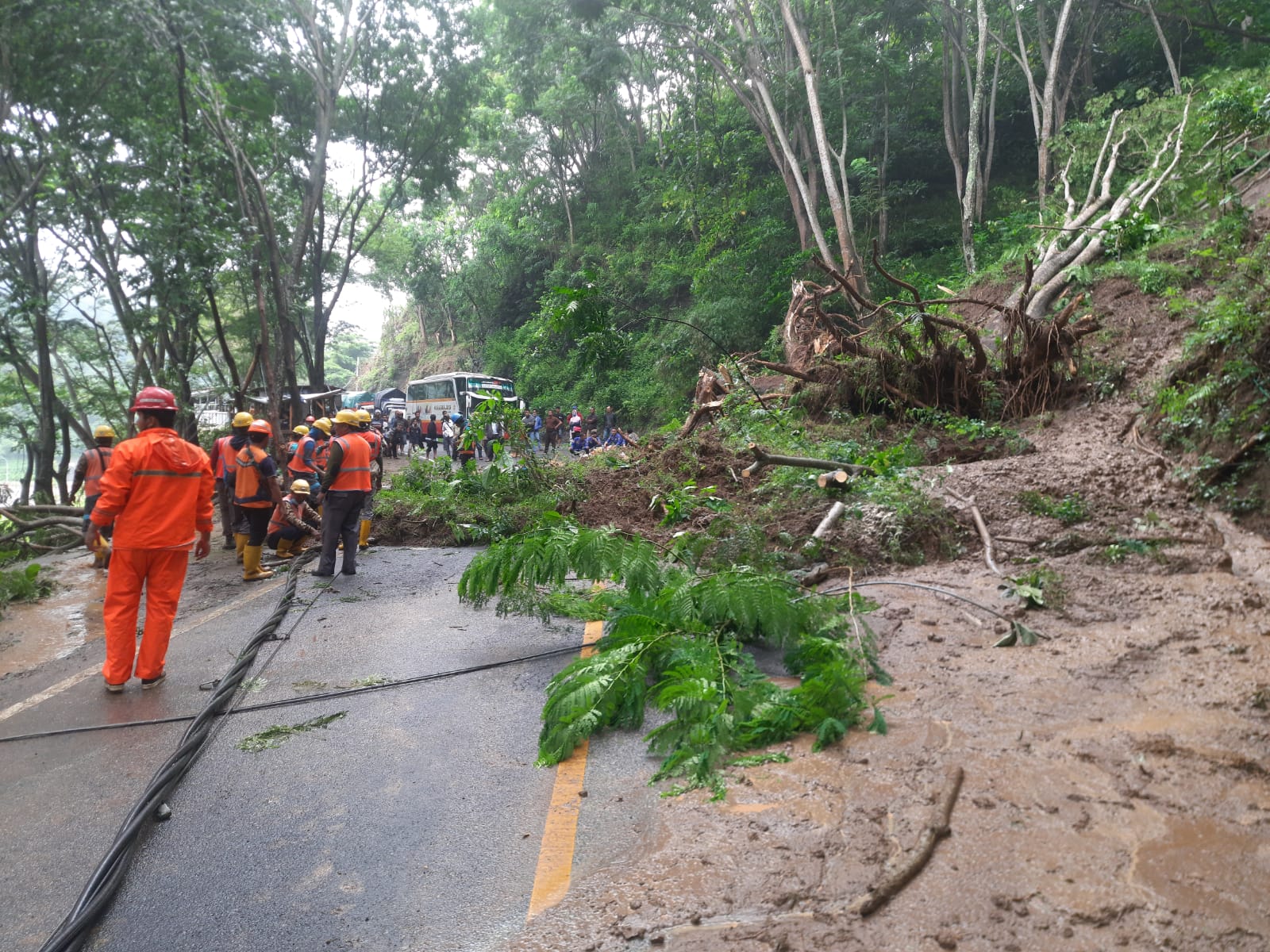 Longsor Terjang Beberapa Wilayah di Trenggalek, BPBD Ingatkan Warga untuk Waspada