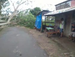 Cuaca Ekstrem, Warga Diminta Waspada Pohon Tumbang dan Angin Kencang