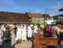 Wabah PMK Meluas, Dinas Peternakan Jombang Gencarkan Pencegahan di Pasar Hewan