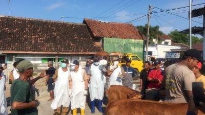 Wabah PMK Meluas, Dinas Peternakan Jombang Gencarkan Pencegahan di Pasar Hewan