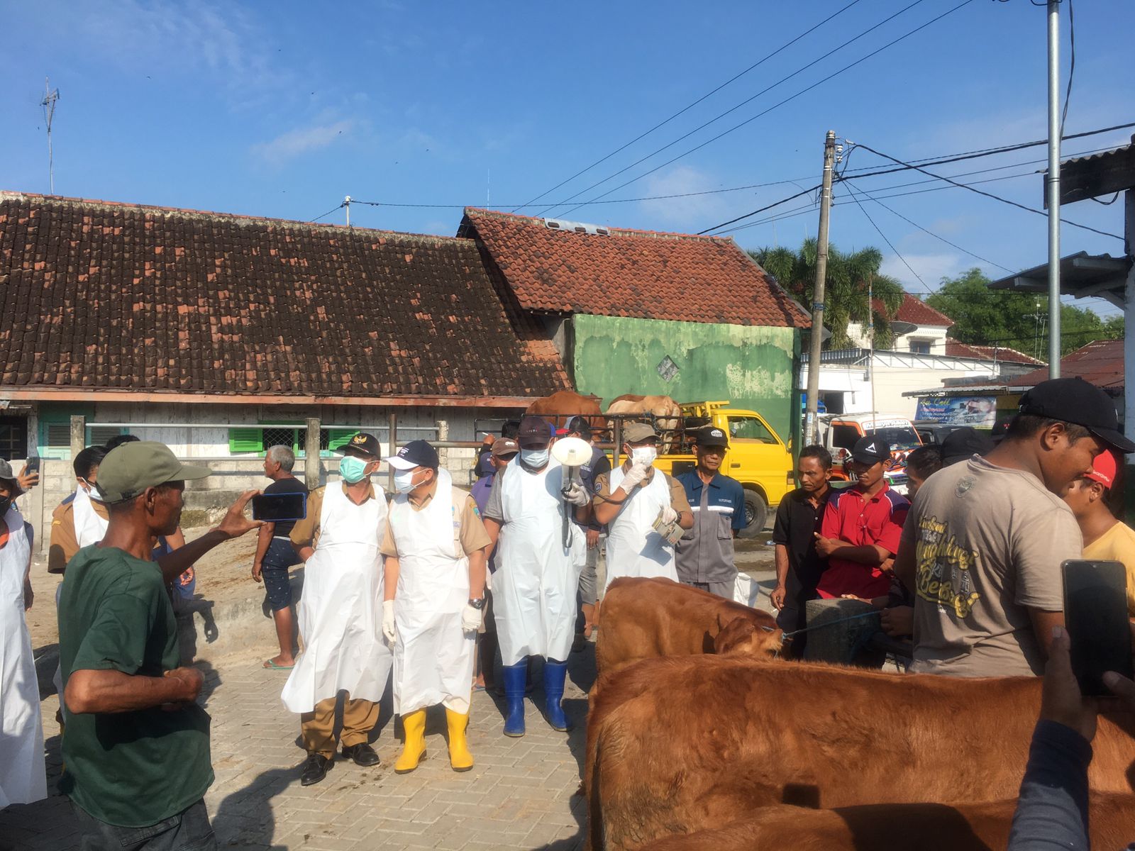 Wabah PMK Meluas, Dinas Peternakan Jombang Gencarkan Pencegahan di Pasar Hewan