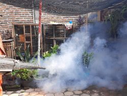 DBD di Tulungagung Naik Drastis, 15 Warga Meninggal Akibat DSS