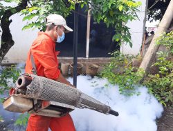 Lonjakan Kematian DBD di Tulungagung, Waspadai Gejala dan Penyebarannya!