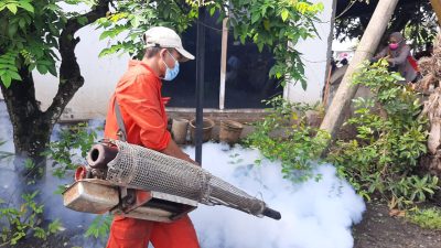 Lonjakan Kematian DBD di Tulungagung, Waspadai Gejala dan Penyebarannya!