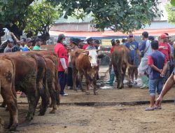 PMK Meluas, Dewan Desak Penutupan Pasar Hewan Jetis Ponorogo