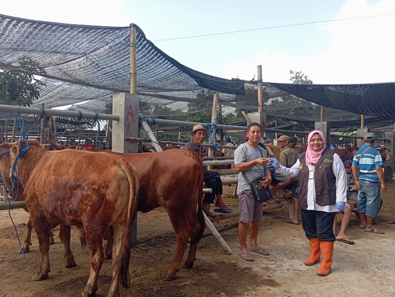 DKPP Blitar Siapkan Ribuan Dosis Vaksin untuk Cegah Penyebaran PMK