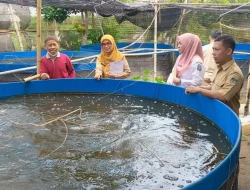 Produksi Ikan Air Tawar di Kabupaten Kediri Meningkat Signifikan, Ini Infonya