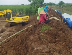 Optimalisasi Normalisasi Sungai di Wilayah Barat Sungai Kediri