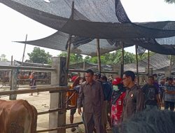 Pemkot Blitar Pilih Tetap Buka Pasar Hewan Dimoro, Tunggu Instruksi Pemprov