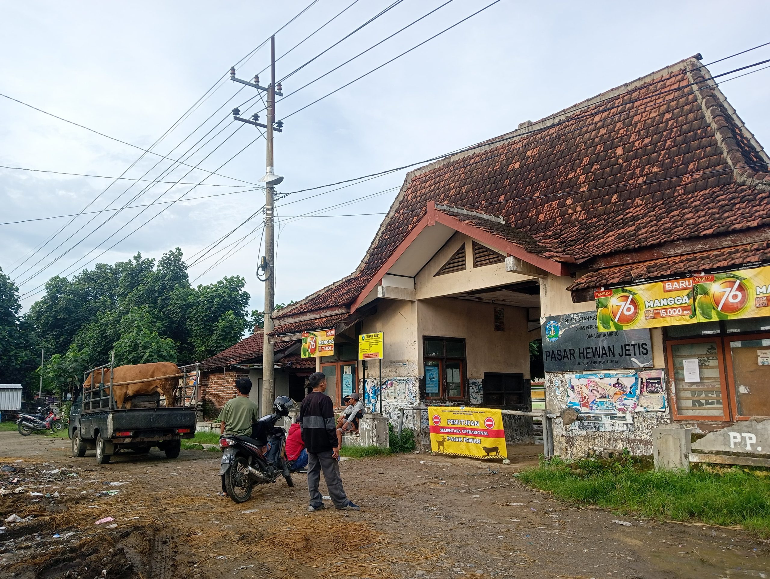 Penutupan Pasar Hewan Jetis Diperpanjang, Pedagang Terpaksa Jualan di Pinggir Jalan