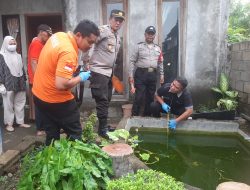 Balita Kembar di Pace Tewas Tenggelam di Kolam Ikan Rumah Sendiri