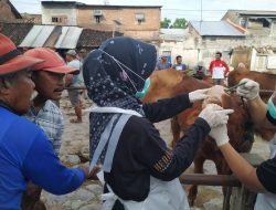 Daging Sapi Terpapar PMK Tetap Aman untuk Dikonsumsi, Asal Diproses dengan Benar, Ini Penjelasan Kepala DKPP Kabupaten Kediri