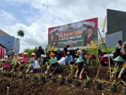 Gerakan Penanaman Jagung Serentak di Kota Batu, Polres Batu Kompak Dukung Asta Cita Presiden Prabowo