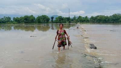 Tanggul Jebol, Ratusan Hektar Sawah di Ponorogo Terendam Banjir dan Terancam Gagal Panen