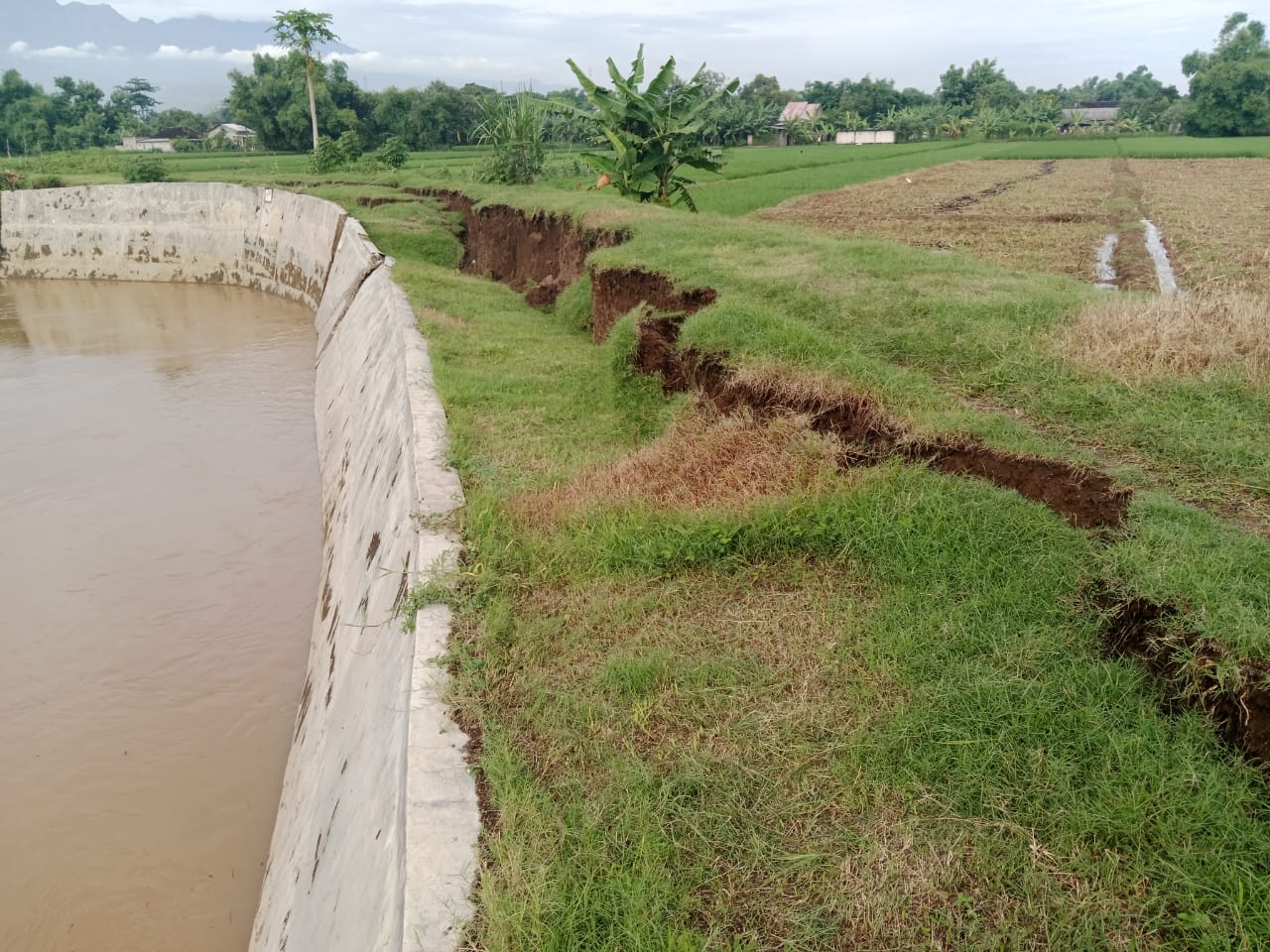 Hujan Deras Sebabkan Tanggul Kali Bakung Ambles Sepanjang 50 Meter