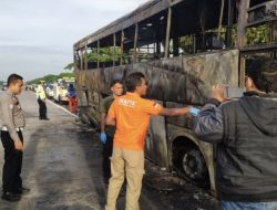 Bus AKAP Terbakar di Tol Trans Jawa, Seluruh Penumpang Selamat