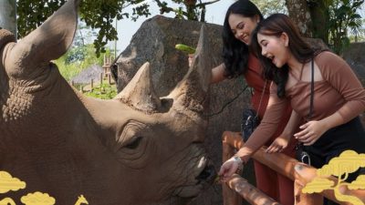 Intip Harga Tiket Taman Safari Prigen Pasuruan, Cocok untuk Liburan Keluarga!