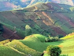 10 Destinasi Wisata Hits di Majalengka yang Wajib Dikunjungi saat Liburan, Buruan Atur Jadwal Cuti!