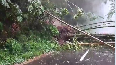 Peduli Bencana! Mahasiswa Jombang Galang Dana untuk Korban Longsor
