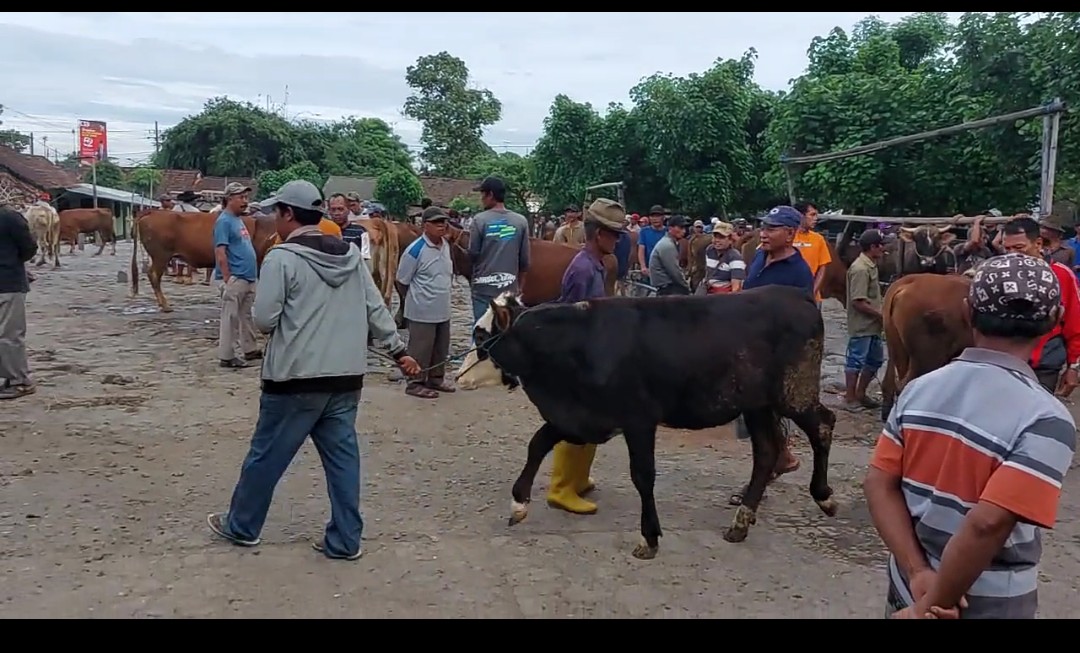 Pasar Hewan di Kabupaten Kediri Ditutup Sementara untuk Cegah PMK